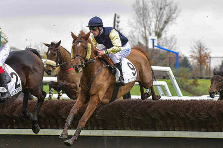 Actualités Hippiques